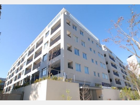 センチュリーフォレスト